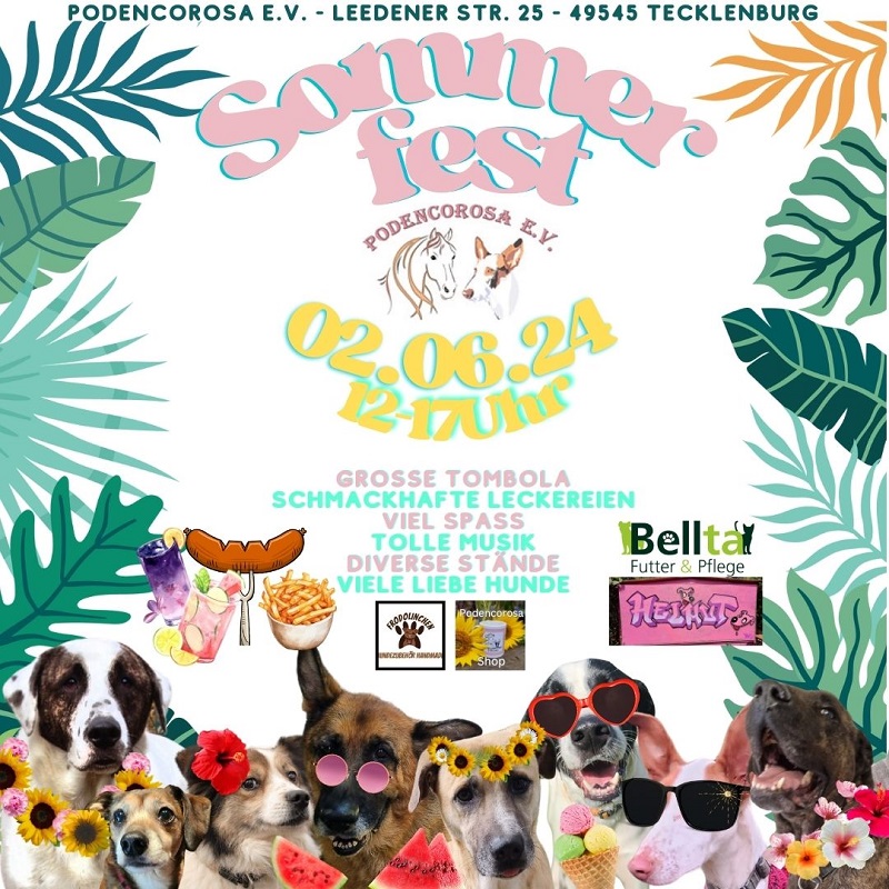 Sommerfest Podencororsa Hunde Spenden Adoption