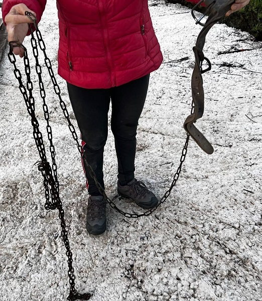 Edda Kettenhund schwere Kette Baum