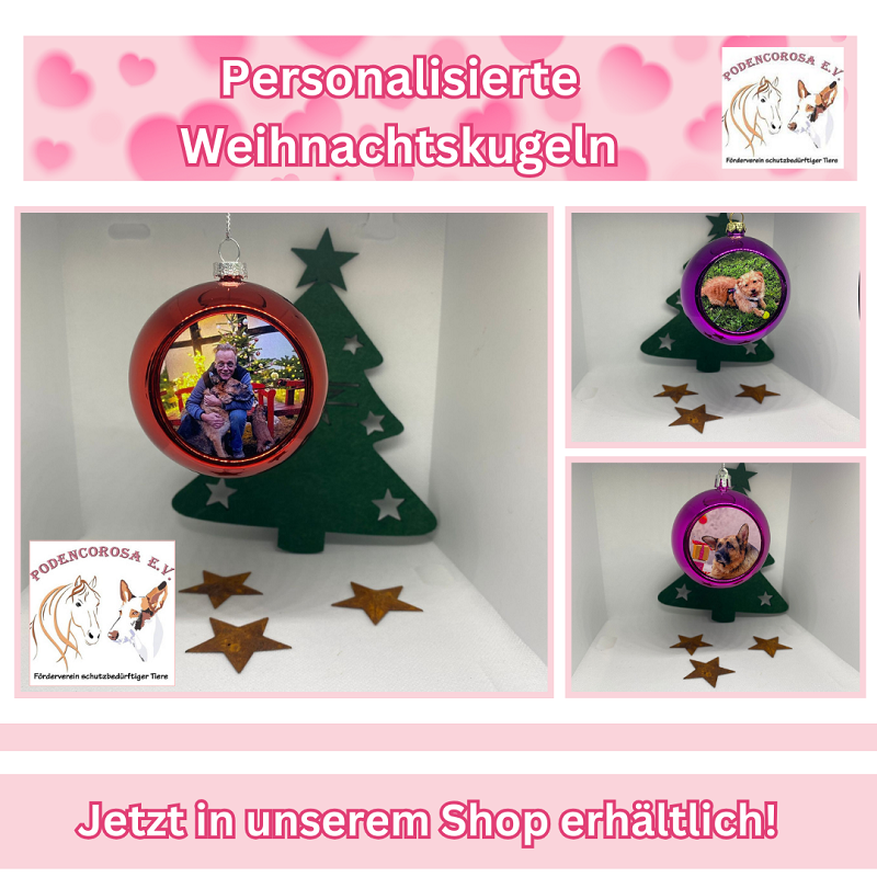 weihnachtskugeln spende personalisiert