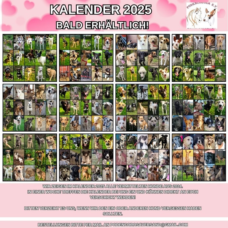 kalender_2025_tierheim_hunde