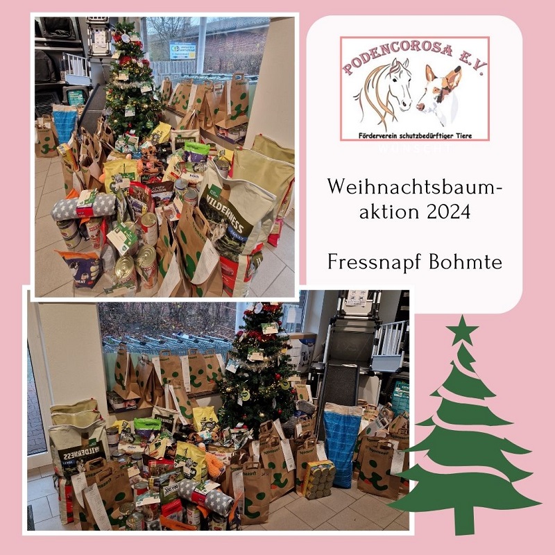 Weihnachtsbaumaktion Fressnapf Bohmte