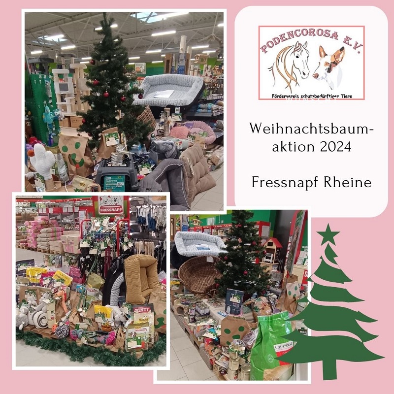 Weihnachtsbaumaktion Fressnapf Rheine