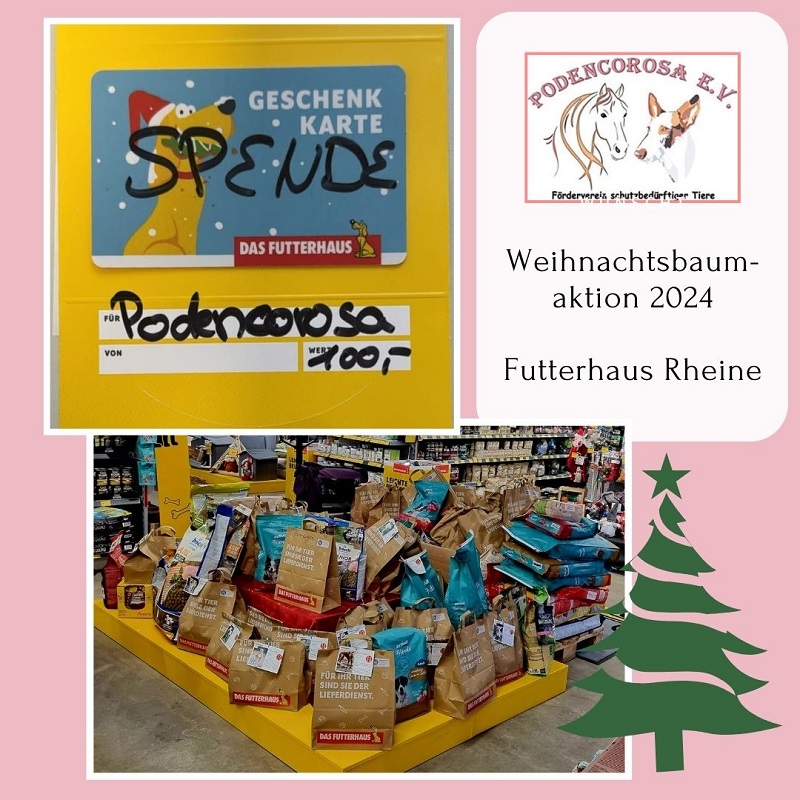 Weihnachtsbaumaktion Futterhaus Rheine