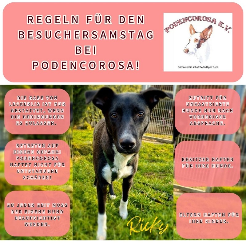 regeln_podencorosa_besuchersamstag