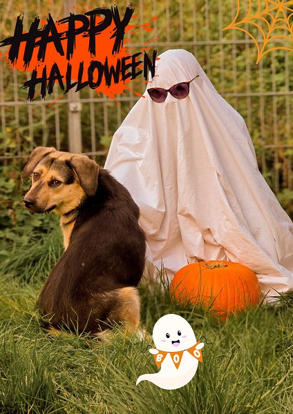Hündin Tami Halloween Special
