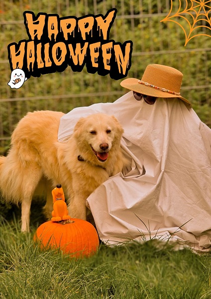 Baila Halloween Special