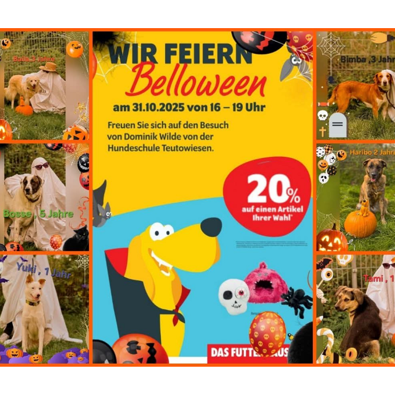 Futterhaus Rheine Futterspende