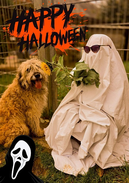 Rüde Zottel Halloween Special