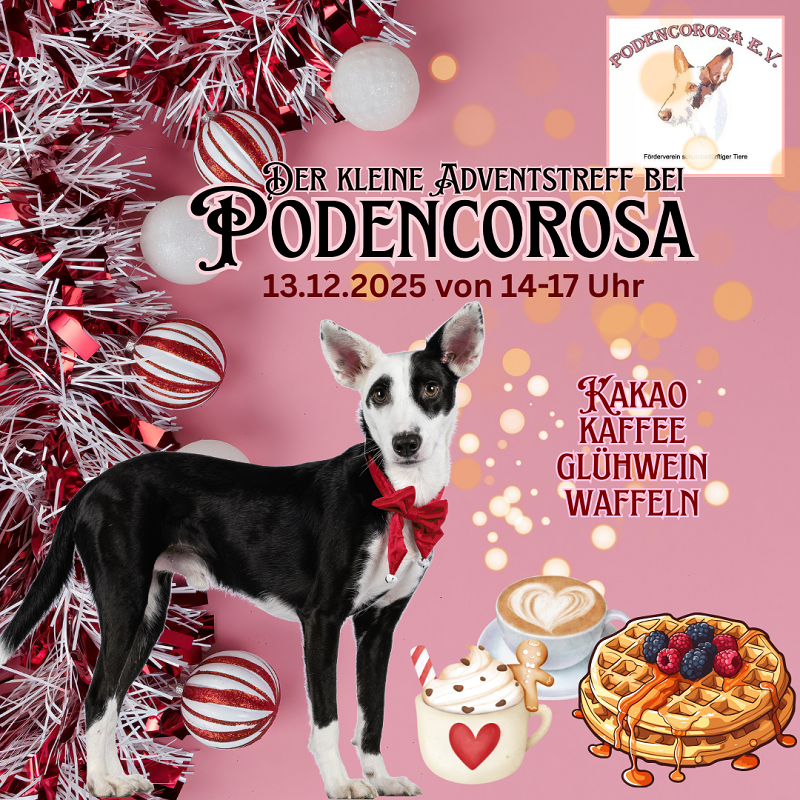 gelb und weiß Webinar Einladung Ankündigung Instagram-Beitrag (2)