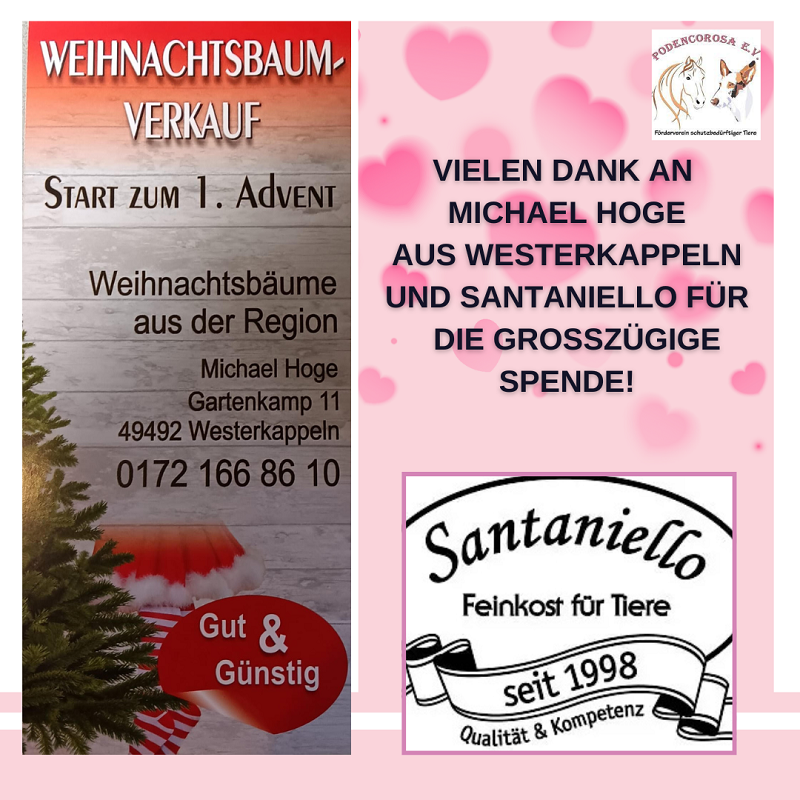 gelb und weiß Webinar Einladung Ankündigung Instagram-Beitrag (6)