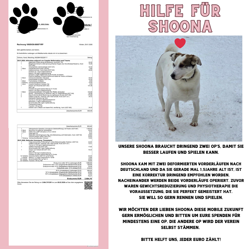 gelb und weiß Webinar Einladung Ankündigung Instagram-Beitrag (7)