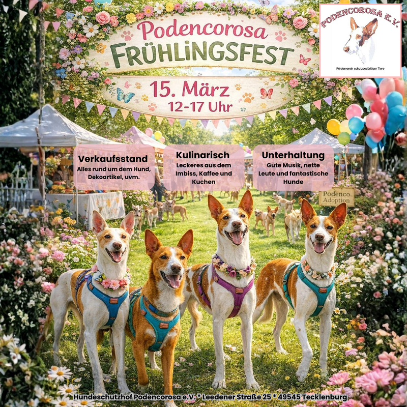 gelb und weiß Webinar Einladung Ankündigung Instagram-Beitrag (10)