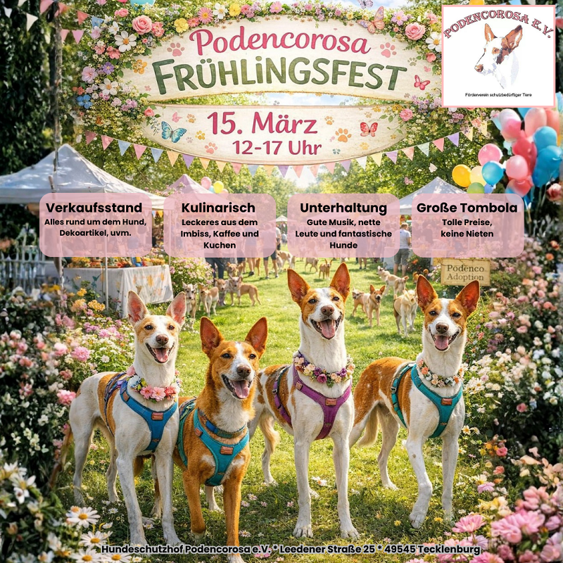 gelb und weiß Webinar Einladung Ankündigung Instagram-Beitrag (11)