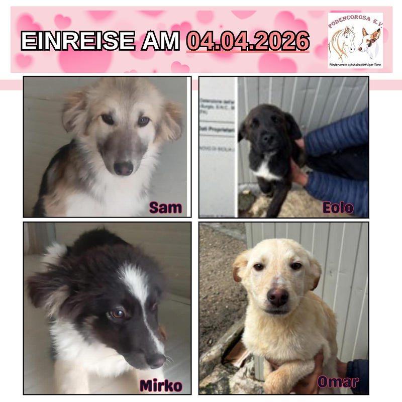 gelb und weiß Webinar Einladung Ankündigung Instagram-Beitrag (22)